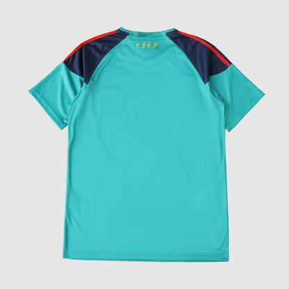 Spain 2010 Goalkeeper Shirt